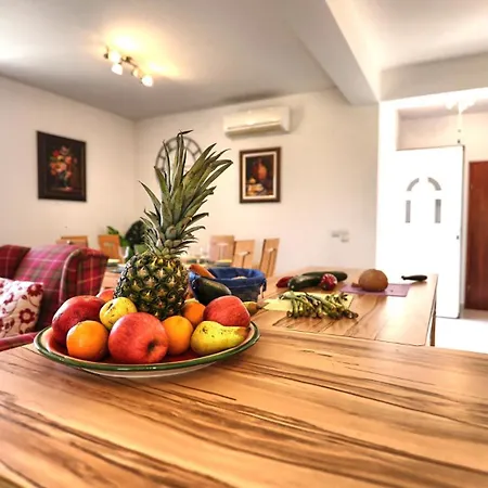 Villa Srecko By Guide